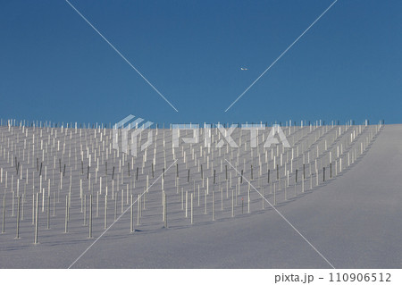 雪原のワイン畑 雪原のワイン畑 110906512