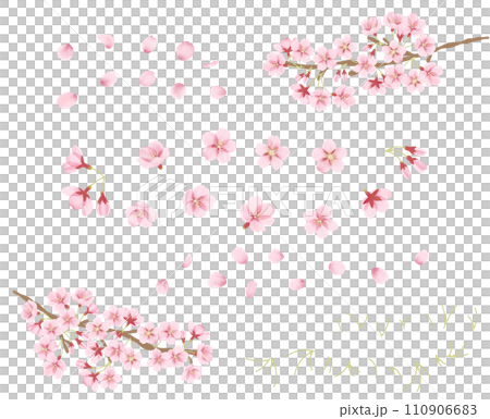 水彩風の桜のイラストパーツセット 水彩風の桜のイラストパーツセット 110906683