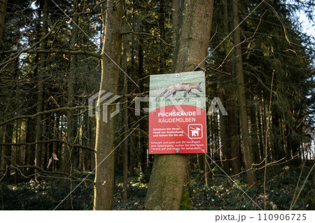 German Warning sign for dog with generalized demodectic mange, generalized alopecia from Fox in the Forest German Warning sign for dog with generalized demodectic mange, generalized alopecia from Fox in the Forest 110906725
