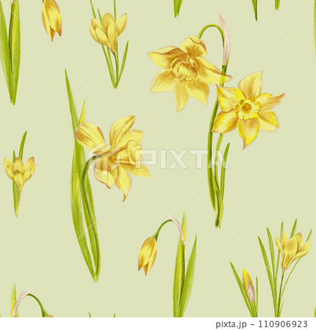 Seamless pattern of hand drawn yellow narcissus flowers on pale green background. Watercolor illustration. For your projects, textiles, stationery, fabric. 110906923