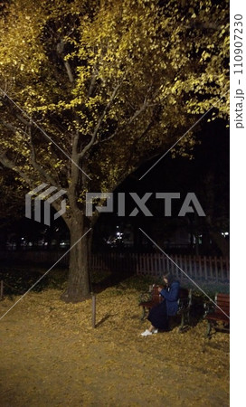 ライトアップされた紅葉 ライトアップされた紅葉 110907230