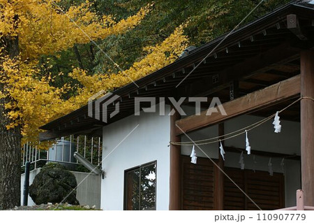 屋根にかかる銀杏の黄色い葉 屋根にかかる銀杏の黄色い葉 110907779