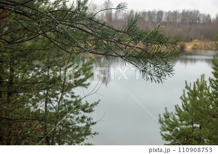 Photo of an autumn landscape. Shore, pond, trees 110908753