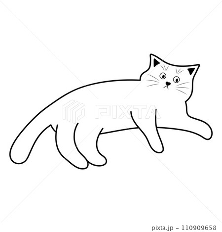 Cute funny fat cat. Doodle linear pet character. 110909658