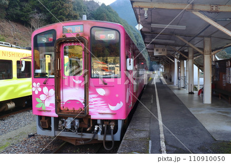 錦川鉄道の錦町駅に停車中のNT3002 ひだまり号 110910050