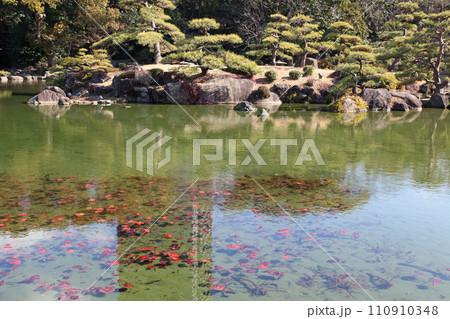 大阪市天王寺区　慶沢園（けいたくえん）の大池の中島 110910348