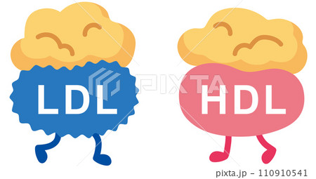 善玉コレステロールと悪玉コレステロール 善玉コレステロールと悪玉コレステロール 110910541