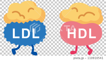 善玉コレステロールと悪玉コレステロール 善玉コレステロールと悪玉コレステロール 110910541