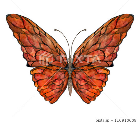 Hand drawn watercolor illustration butterfly fairy wings gem crystal insect moth. Garnet ruby sunstone agate fire opal. Single object isolated on white background. Design print shop, wedding, birthday 110910609