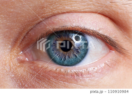 Macro image of human eye 110910984