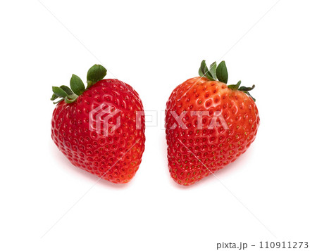 イチゴ　とちあいか 110911273