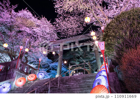 鬼怒川温泉夜桜ライトアップ 鬼怒川温泉夜桜ライトアップ 110911669