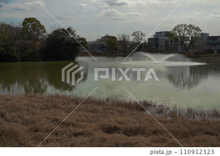 万代池公園の風景 万代池公園の風景 110912323