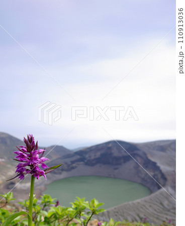 青い空とハクサンチドリ 110913036