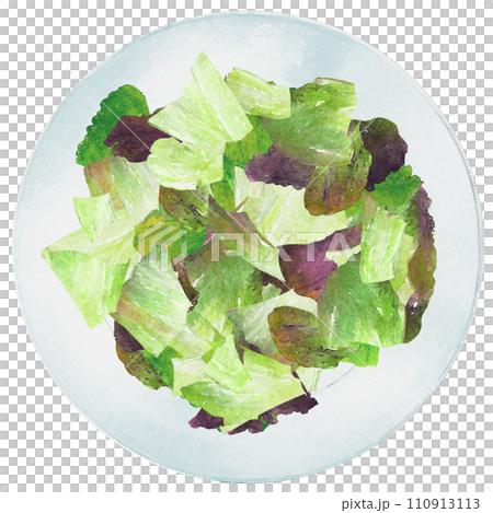 Sunny lettuce on a plate 110913113