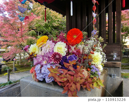 東福寺塔頭勝林寺 東福寺塔頭勝林寺 110913226