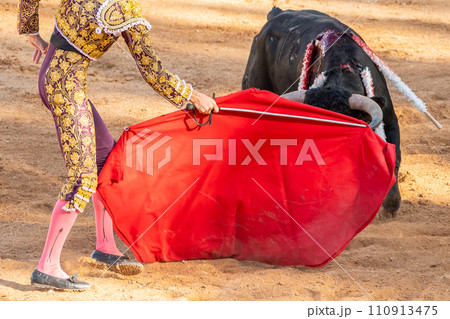 Bullfight in Spain. Spanish bullfighter in the bullfighting arena Bullfight in Spain. Spanish bullfighter in the bullfighting arena 110913475