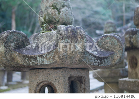 1月の灯籠 1月の灯籠 110914486
