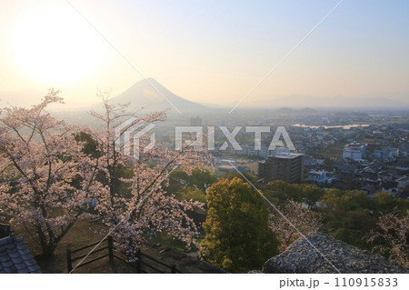 丸亀城からの眺望・讃岐富士と桜(香川県・丸亀市) 丸亀城からの眺望・讃岐富士と桜(香川県・丸亀市) 110915833