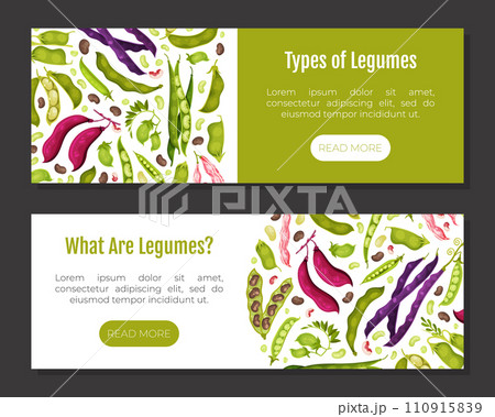 Legume Plant Banner Design with Pod and Bean Vector Template 110915839