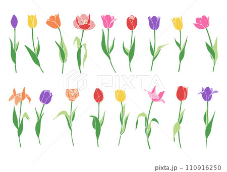 カラフルなチューリップのイラストセット　バリエーション素材 110916250