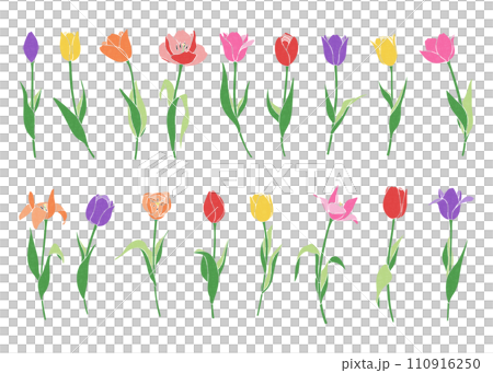 カラフルなチューリップのイラストセット　バリエーション素材 110916250