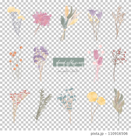 天然乾燥花2 110916506