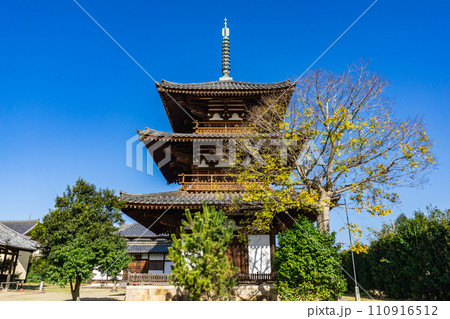 奈良県生駒郡斑鳩町の法起寺　三重塔（国宝）日本最古 110916512