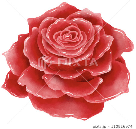 Handdrawn watercolor illustration of rose buds petal for special day like birthday valentine day  women's day mother's day greeting cards wedding invitation  110916974