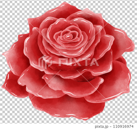 Handdrawn watercolor illustration of rose buds petal for special day like birthday valentine day women's day mother's day greeting cards wedding invitation Handdrawn watercolor illustration of rose buds petal for special day like birthday valentine day women's day mother's day greeting cards wedding invitation 110916974