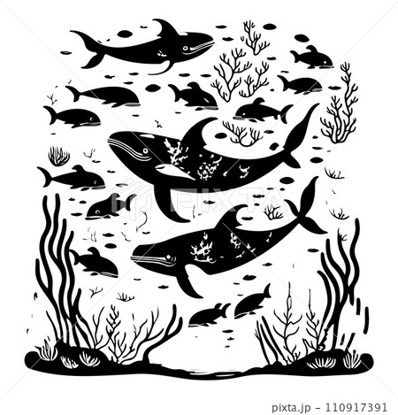 ocean whale underwater coral illustration sketch hand draw  110917391