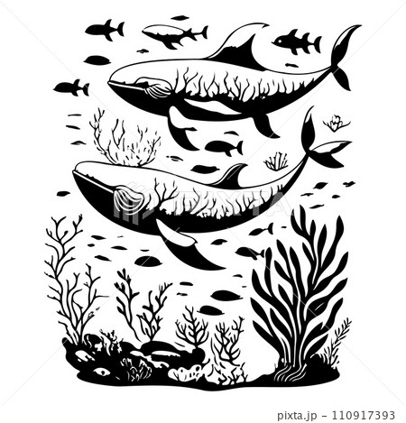 ocean whale underwater coral illustration sketch hand draw ocean whale underwater coral illustration sketch hand draw 110917393