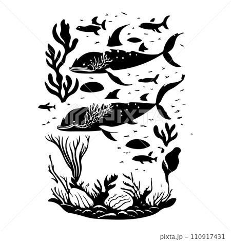 ocean whale underwater coral illustration sketch hand draw  110917431