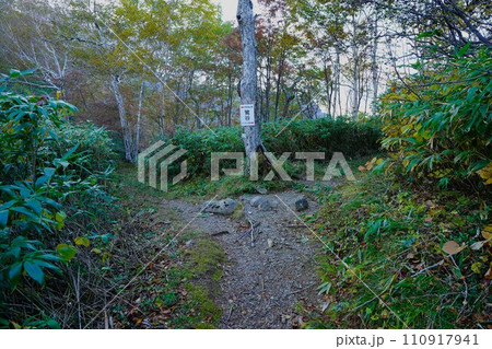 芦別岳新道登山道の鶯谷の分岐標識 芦別岳新道登山道の鶯谷の分岐標識 110917941