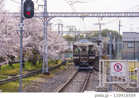 満開の桜並木を走る阪急電車　阪急嵐山駅にて 110918509