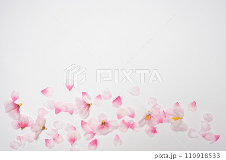 桜の花びらのボタニカルフレーム 110918533