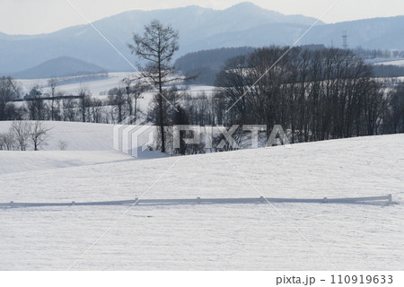 3月美瑛の雪景色 110919633