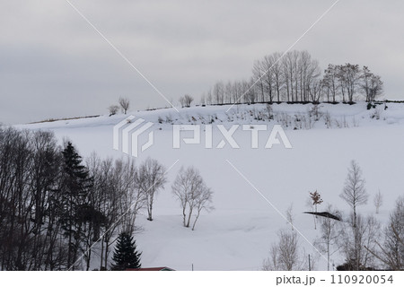 3月美瑛の雪景色 3月美瑛の雪景色 110920054