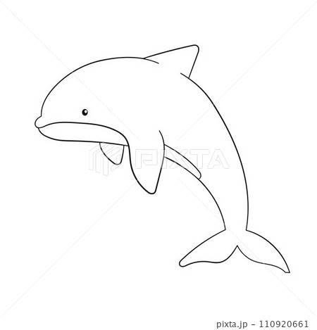 Dolphin in line art style. Hand drawn silhouette of a underwater mammal animal. Vector illustration isolated on a white background. 110920661