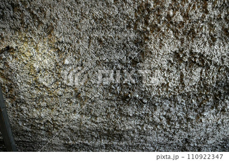 天井 天井 110922347