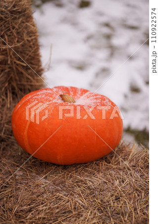 Frosty pumpkin on hay, snowy backdrop. Frosty pumpkin on hay, snowy backdrop. 110922574