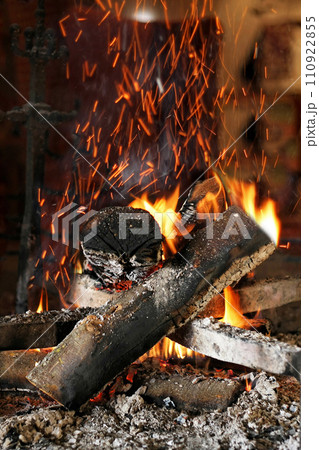 Firewood 110922855