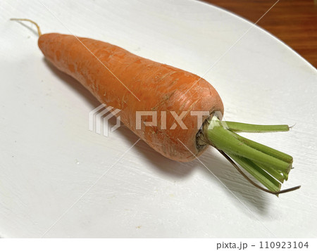 人参 にんじん キャロット 110923104