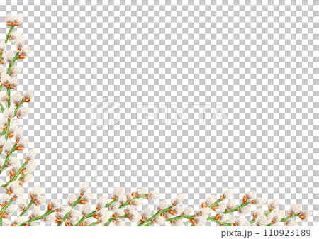 Hand drawn watercolor corner, frame of pussy willow. Botanical clip art, symbol of religious holidays, Easter, Lunar New Year. Green branches with soft salix buds, flowers. Spring painting for prints 110923189