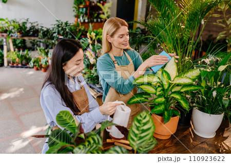 Two women, a shopkeeper and her employee work together harmoniously and amicably, wiping the leaves of plants in a store or workshop full of flowering plants 110923622