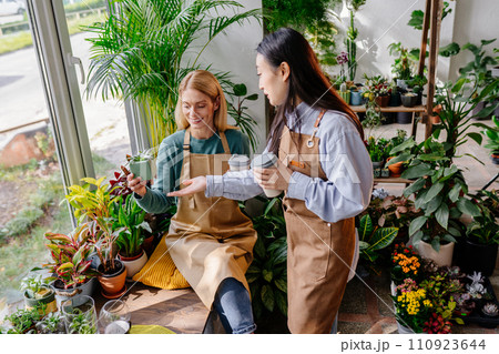 Waist up shot of two smiling gardeners looking at pot with small plant indoors while working together with lush green plants. Waist up shot of two smiling gardeners looking at pot with small plant indoors while working together with lush green plants. 110923644