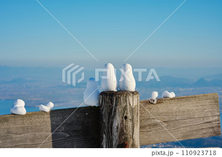 ペンギンの雪だるまと権現山からの展望 110923718