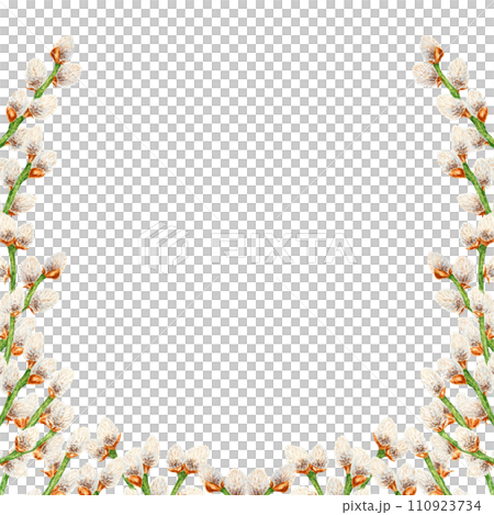 Hand drawn watercolor wreath, frame of pussy willow. Botanical clip art, symbol of religious holidays, Easter, Lunar New Year. Green branches with soft salix buds, flowers. Spring painting for prints 110923734