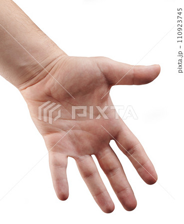 Open hand palm Open hand palm 110923745