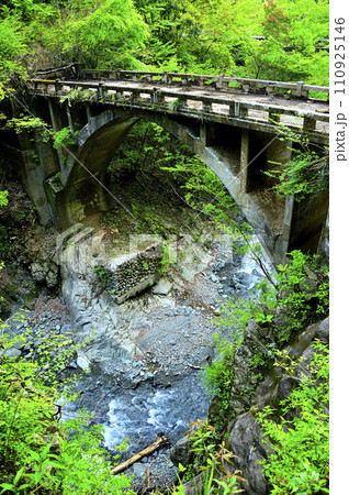 丹沢山地の本谷川 本谷林道 旧瀬戸橋 丹沢山地の本谷川 本谷林道 旧瀬戸橋 110925146